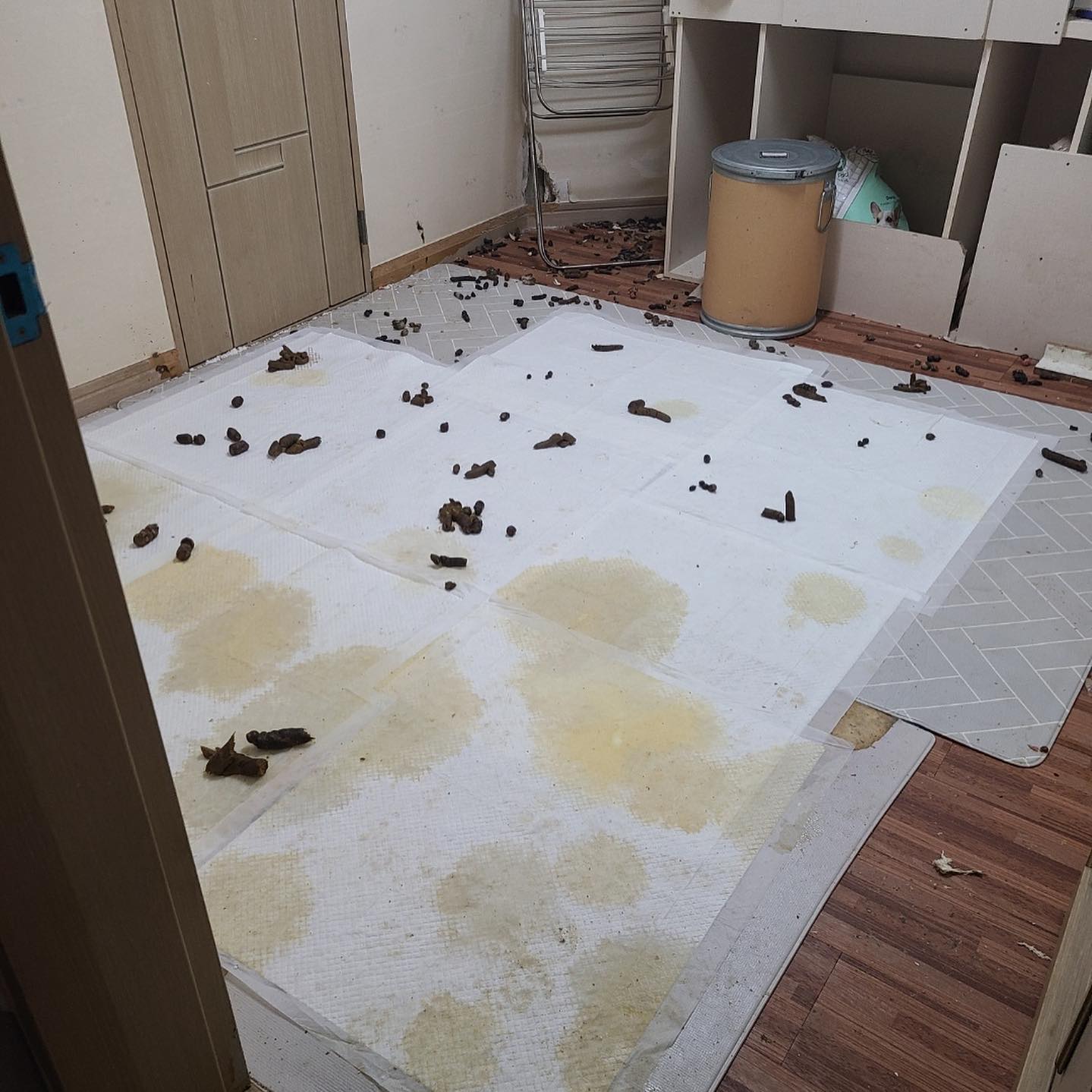 상세 사진 3