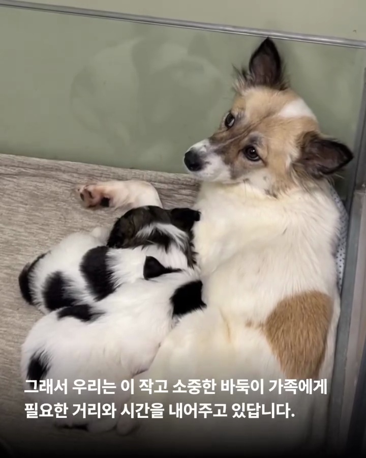 상세 사진 9