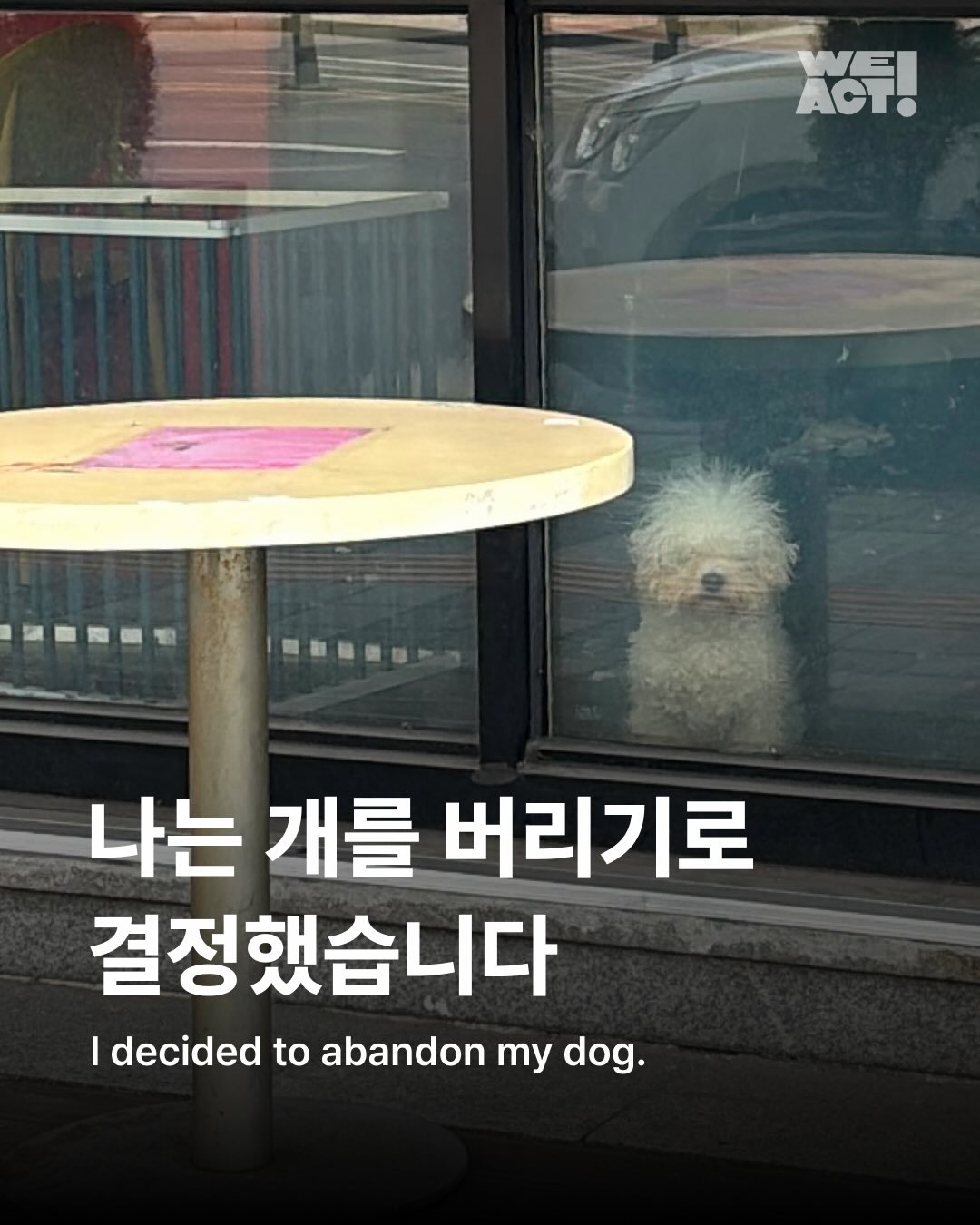 상세 사진 1