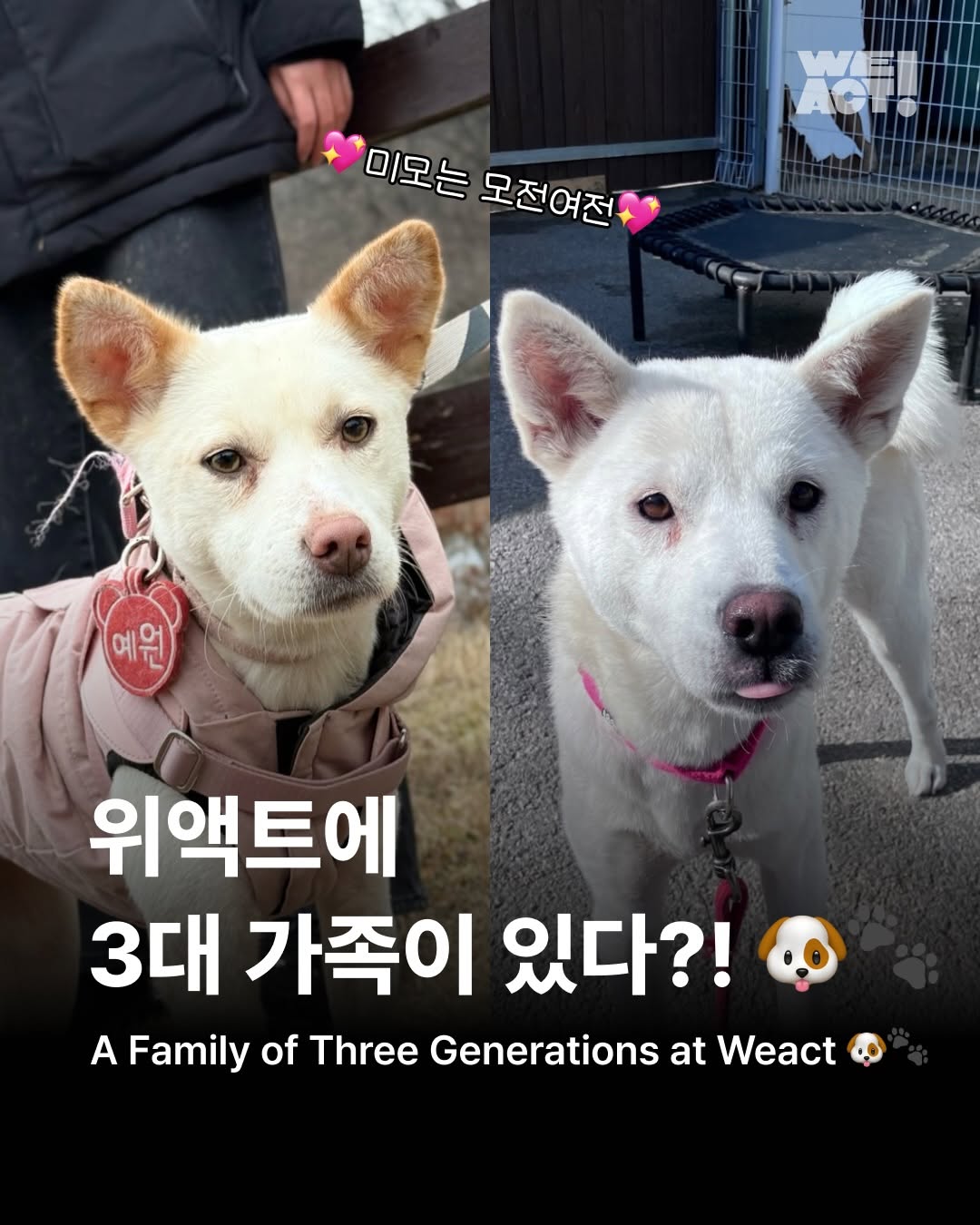 상세 사진 1