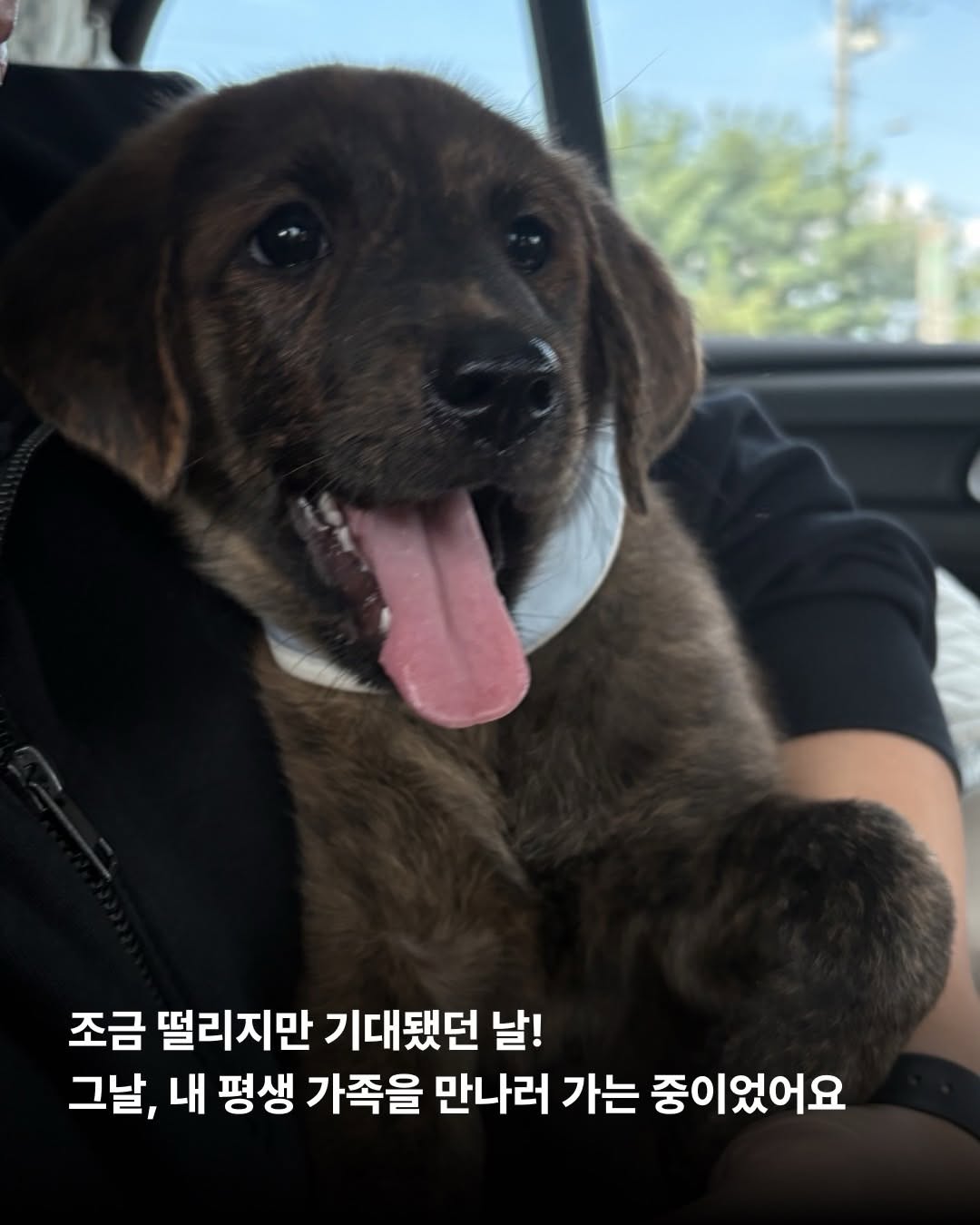 상세 사진 6