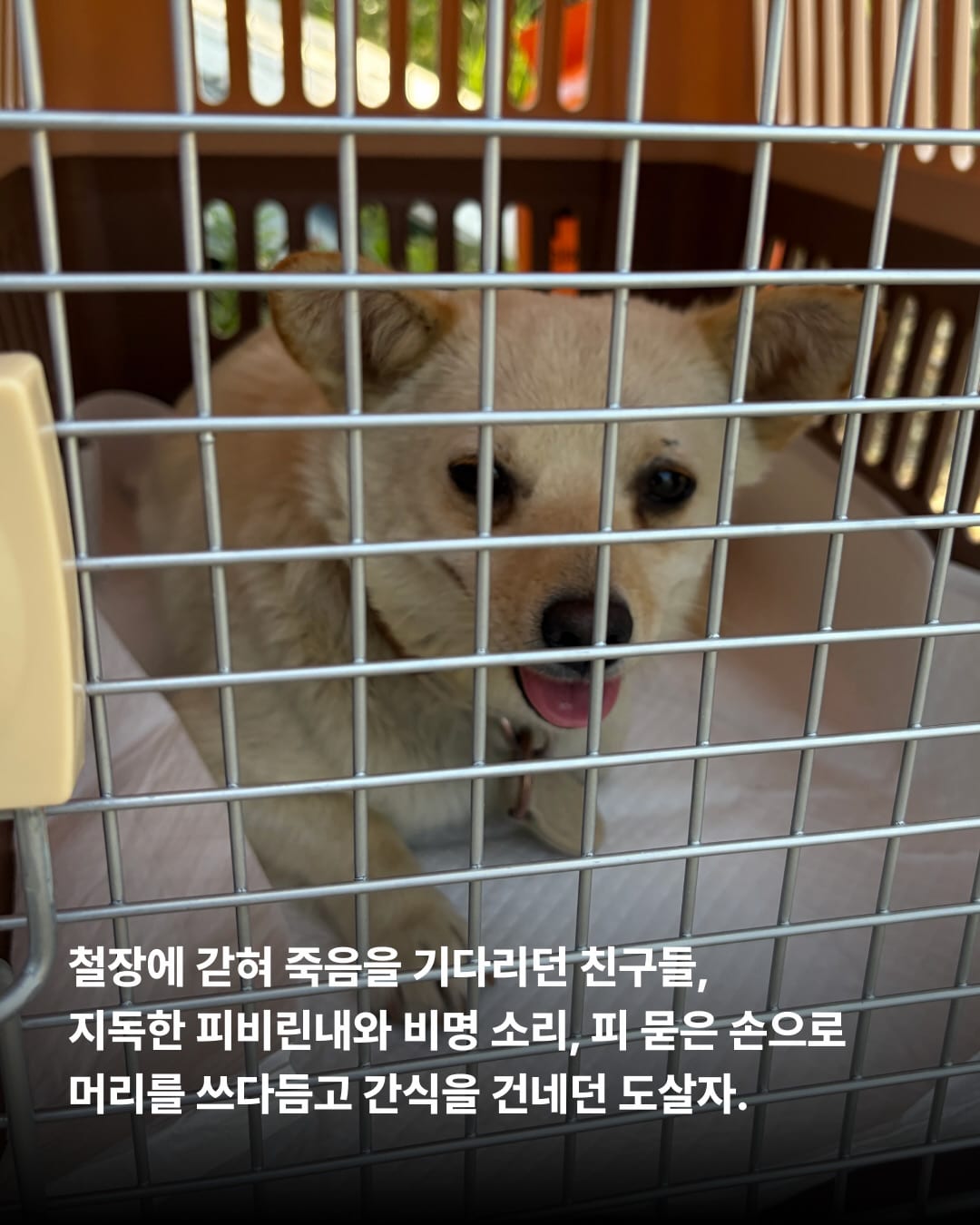 상세 사진 11