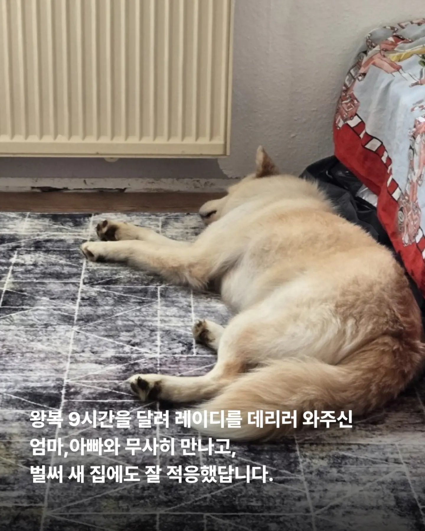 상세 사진 6