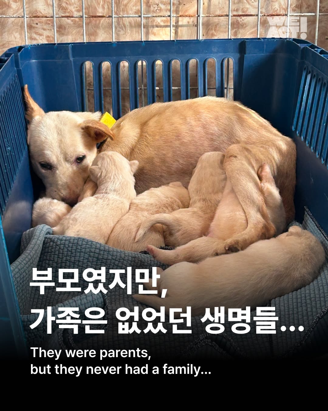 상세 사진 1