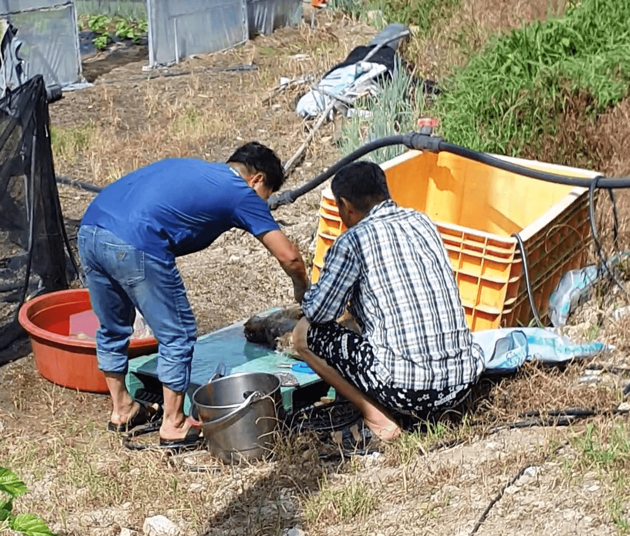 상세 사진 5