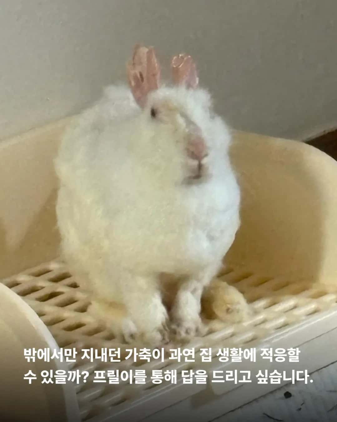상세 사진 9
