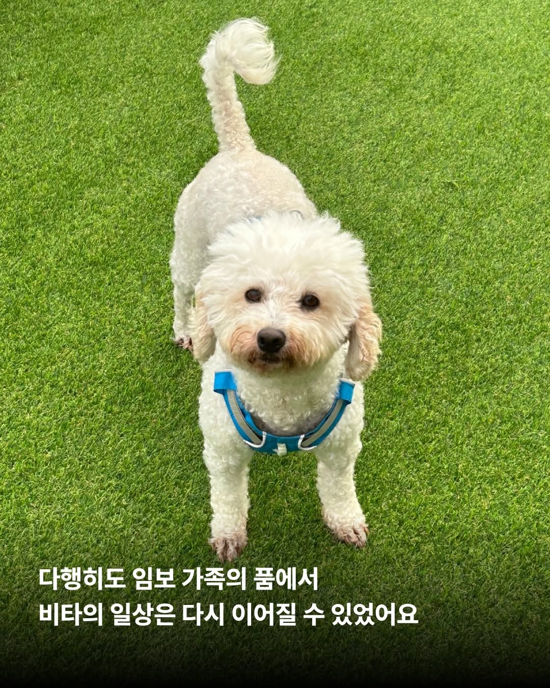 상세 사진 4