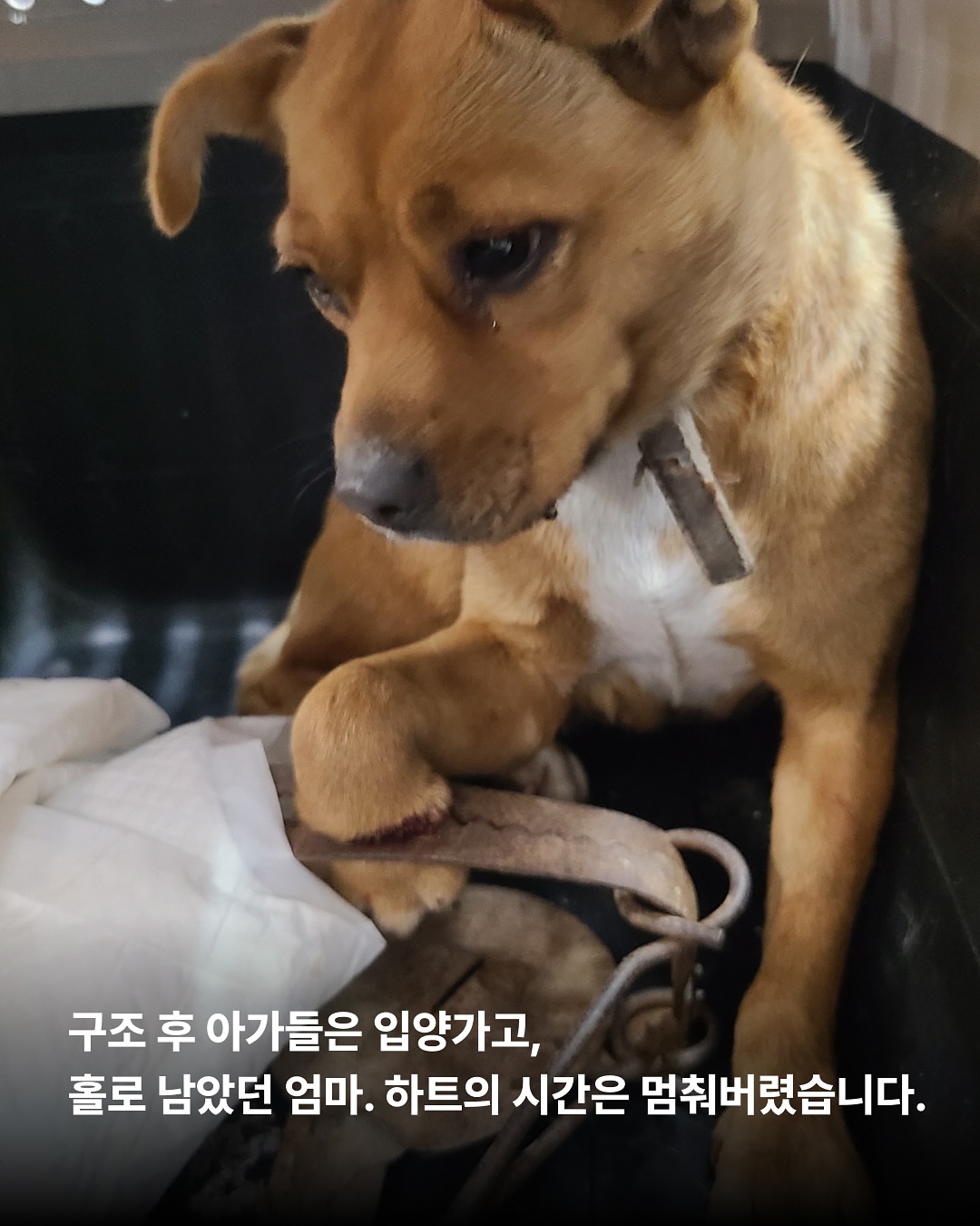 상세 사진 3