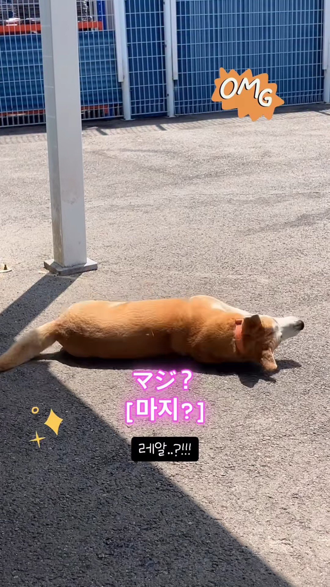 상세 사진 1