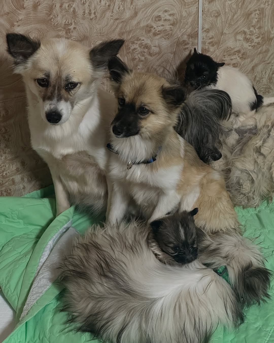 상세 사진 2