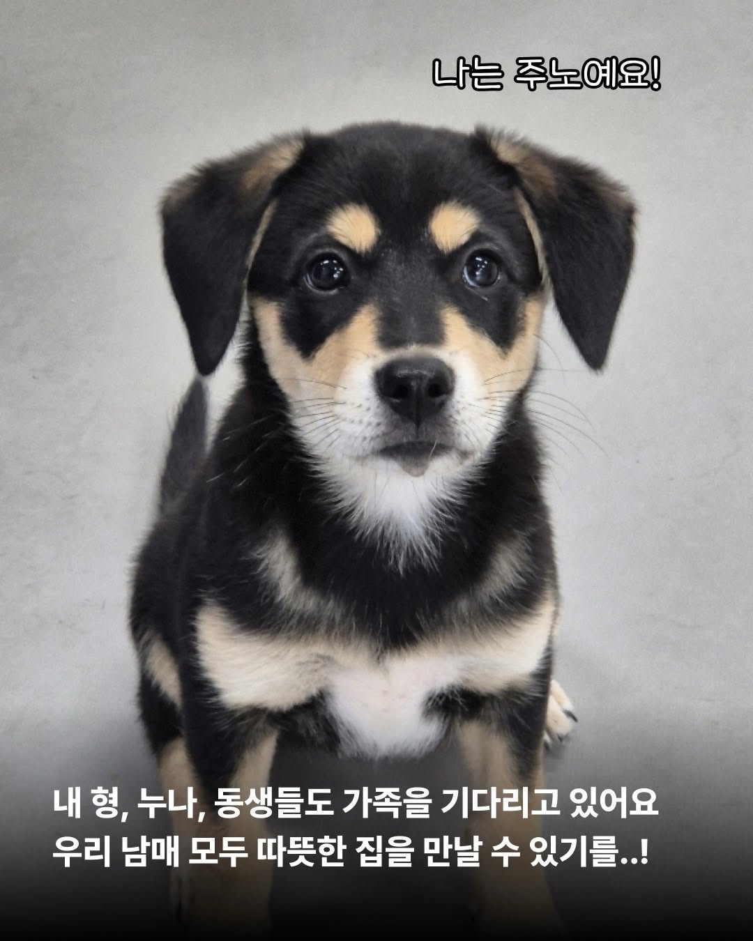 상세 사진 10