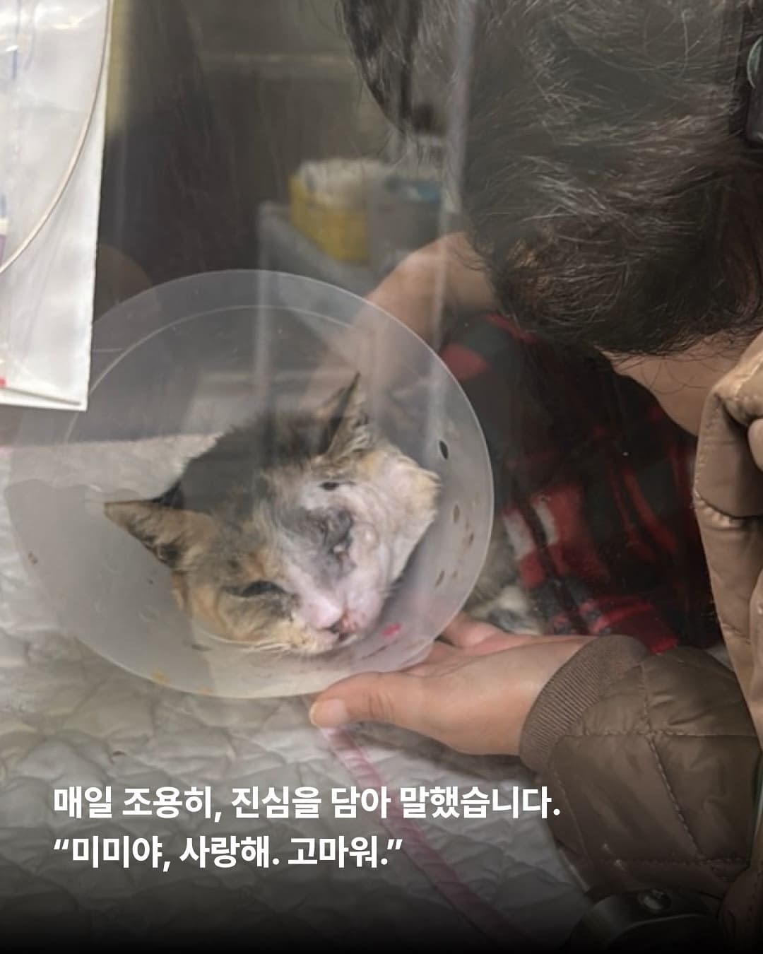 상세 사진 3