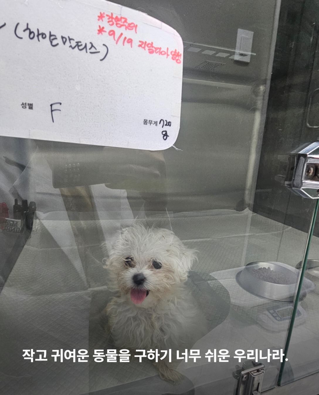 상세 사진 7