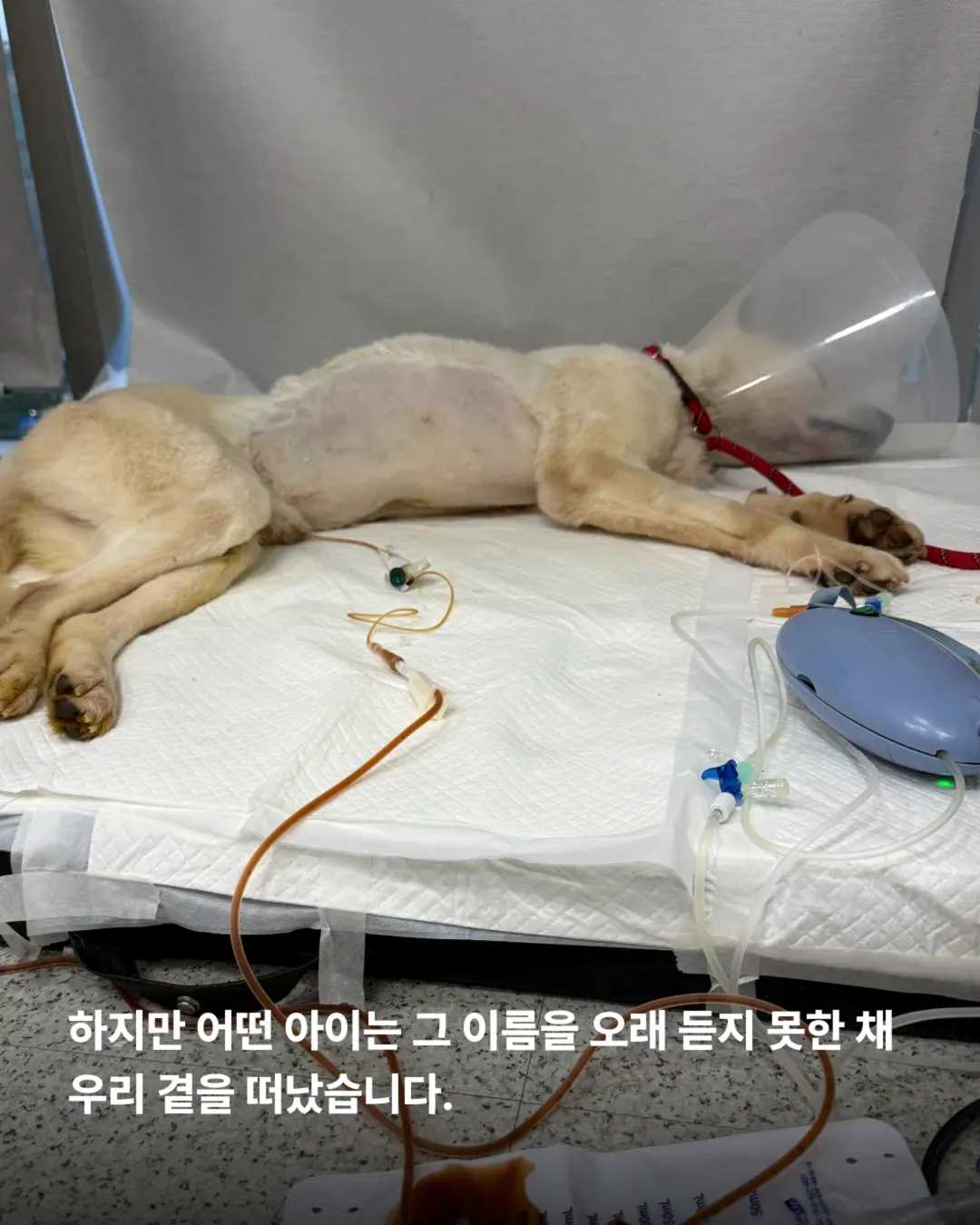상세 사진 6