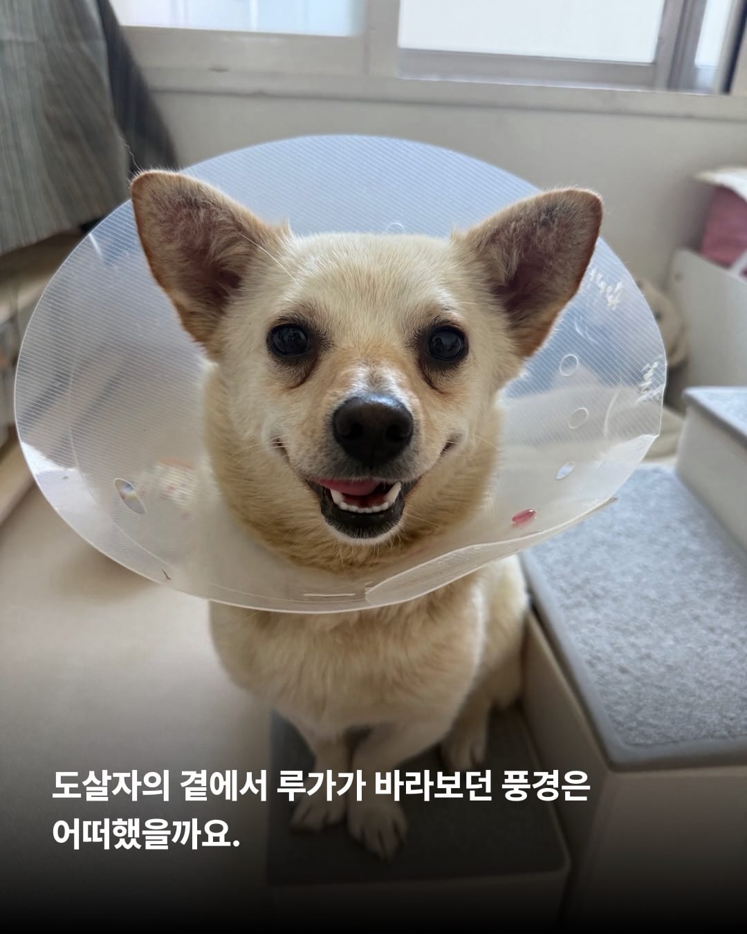 상세 사진 10