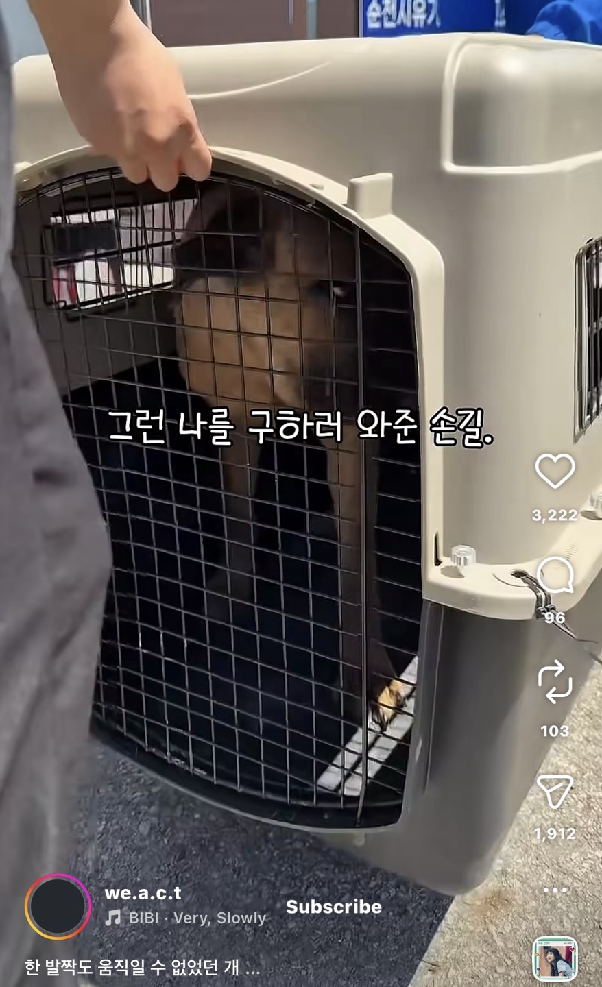 상세 사진 4