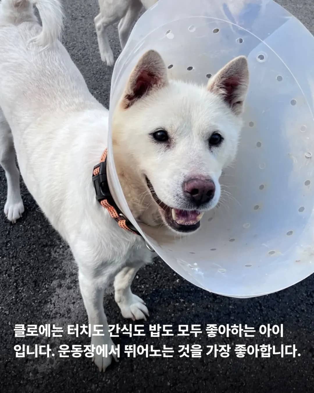 상세 사진 13