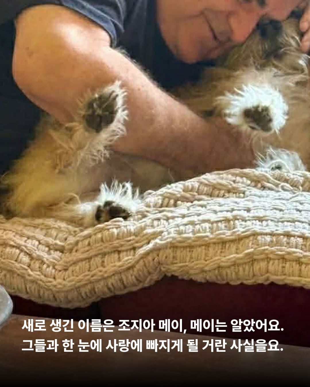 상세 사진 5