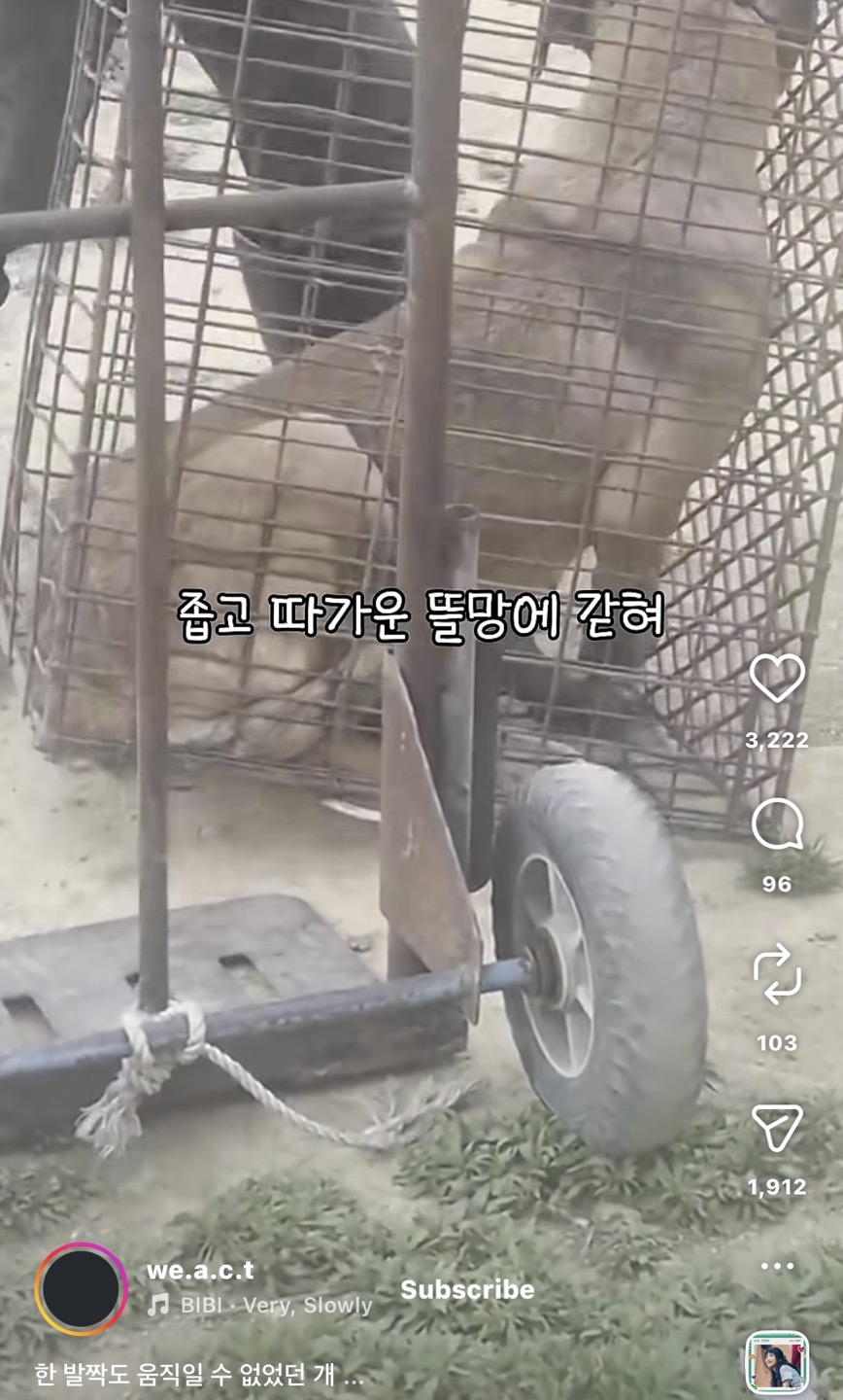 상세 사진 2