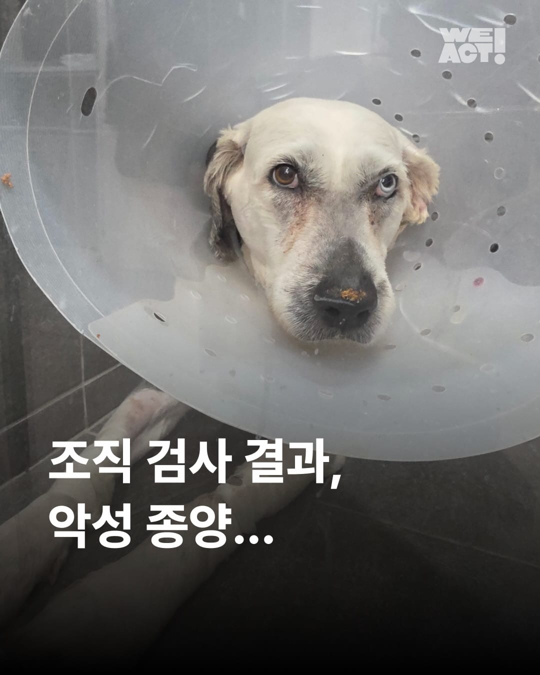 상세 사진 1