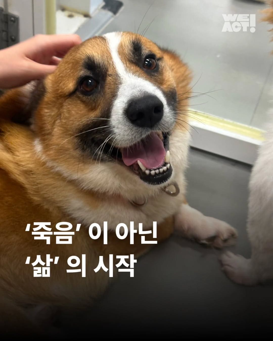 상세 사진 1