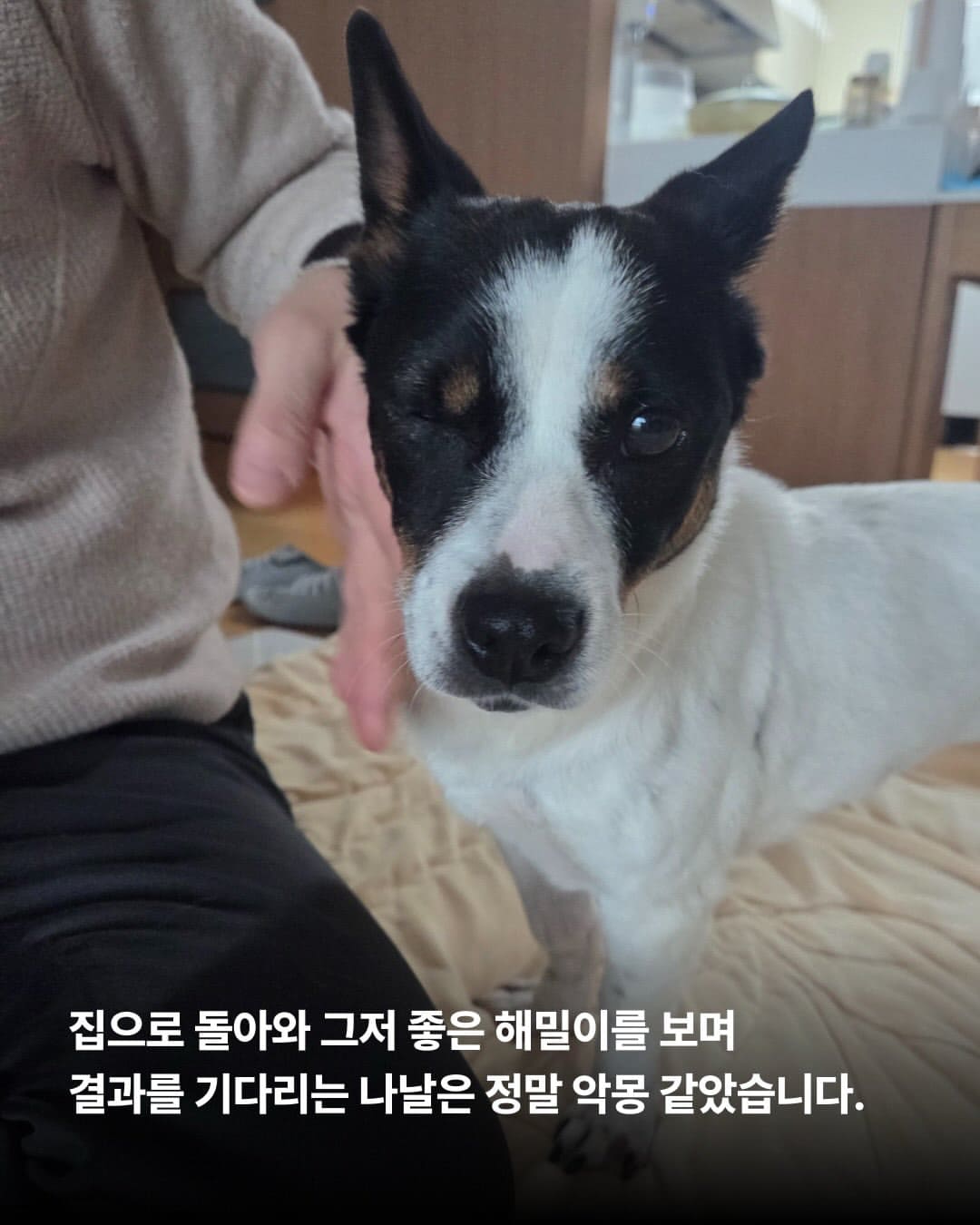 상세 사진 4