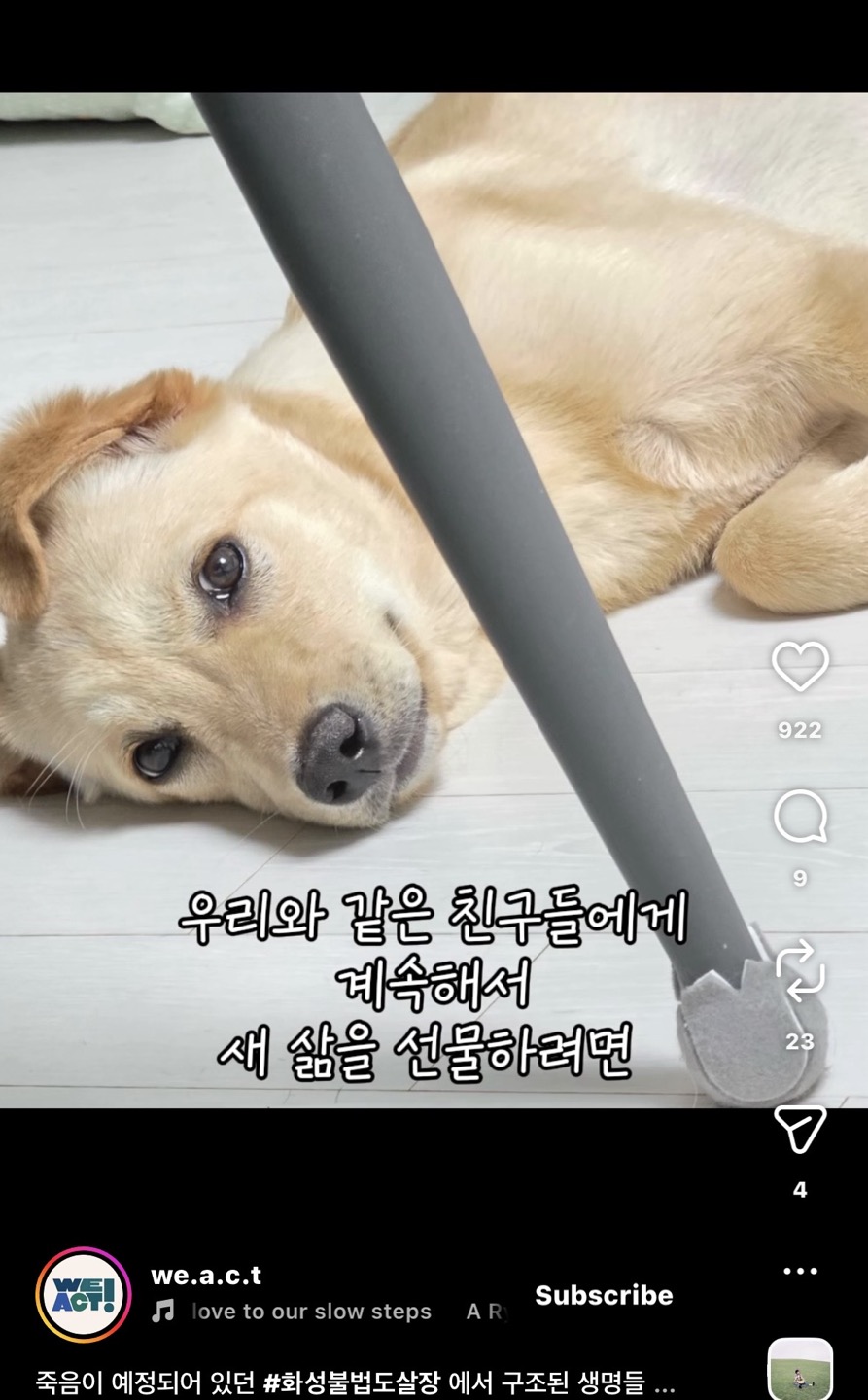 상세 사진 13