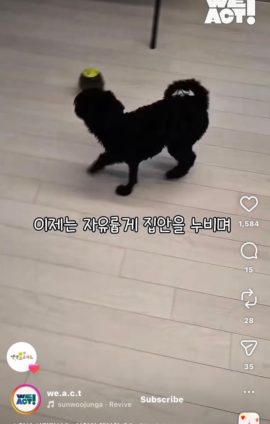 상세 사진 15