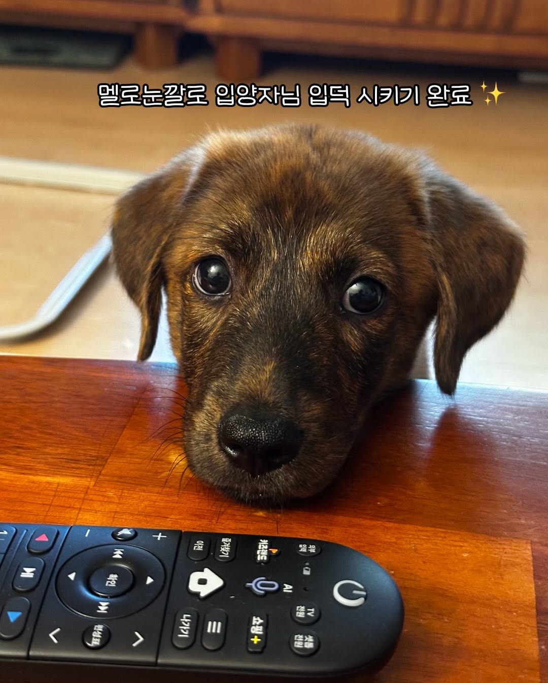 상세 사진 3