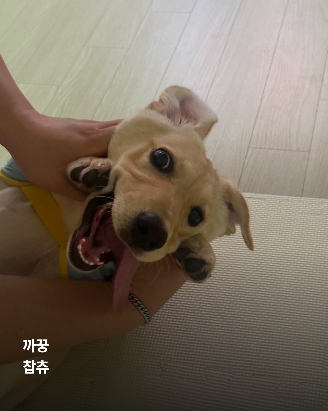상세 사진 18