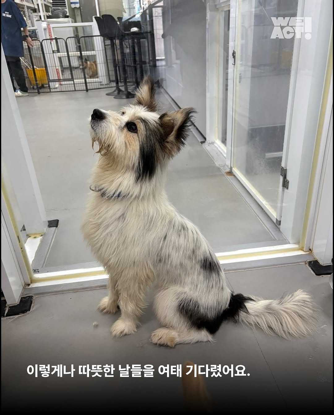 상세 사진 11