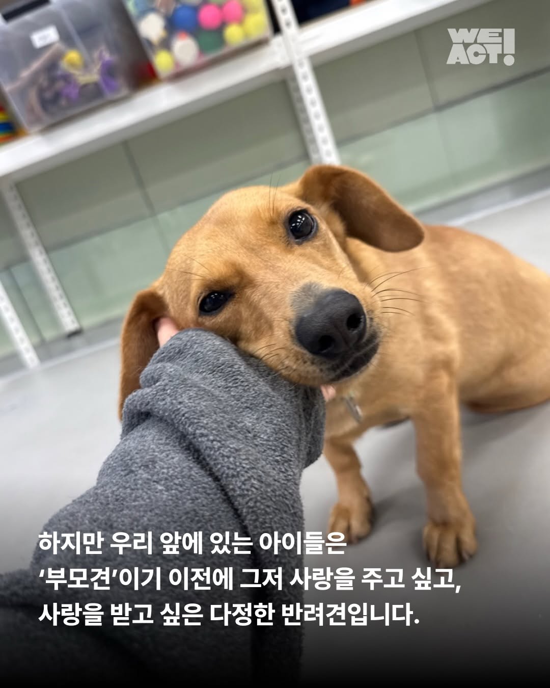 상세 사진 7