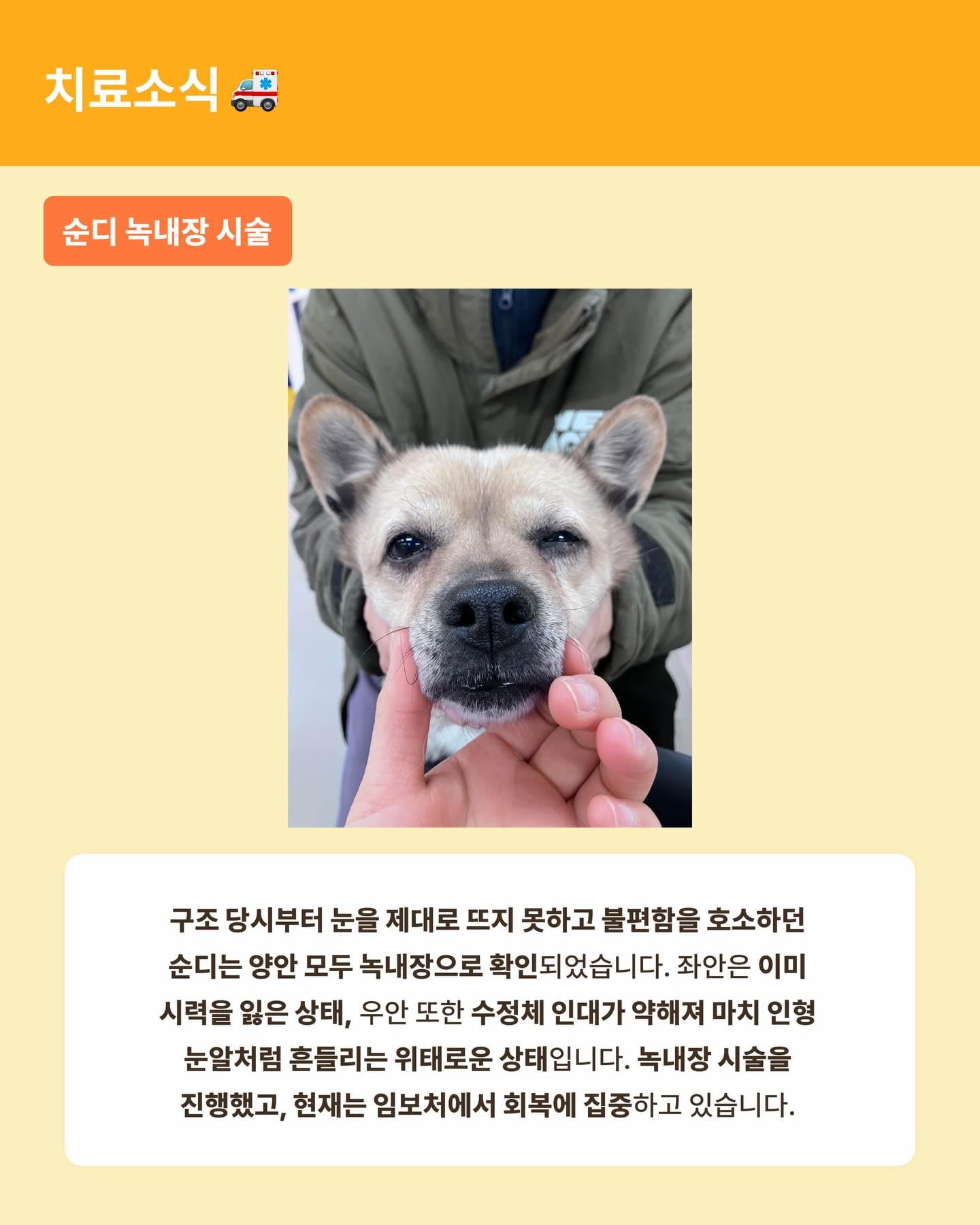 상세 사진 11