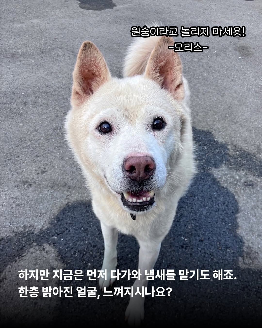 상세 사진 6