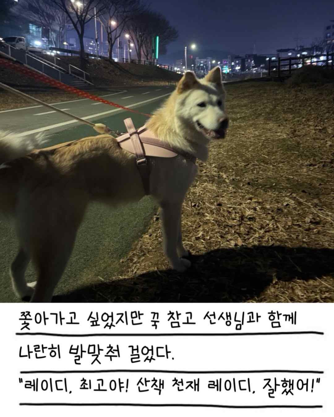 상세 사진 16