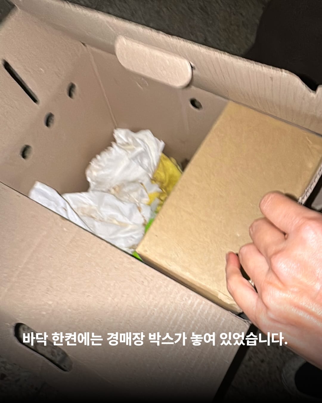상세 사진 6