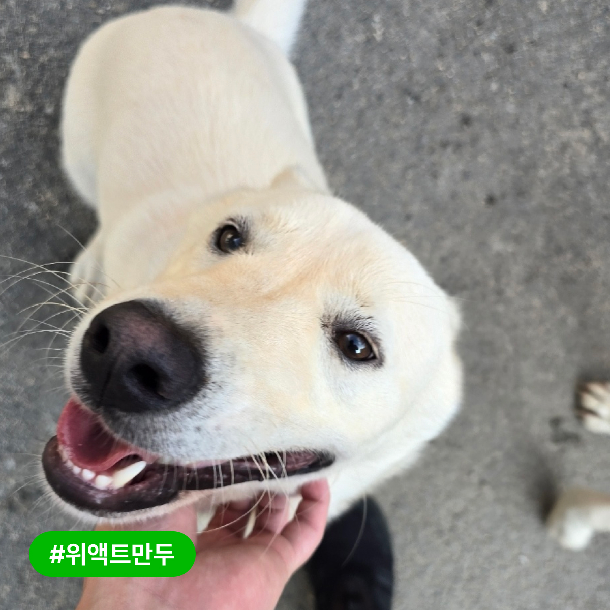 상세 사진 5