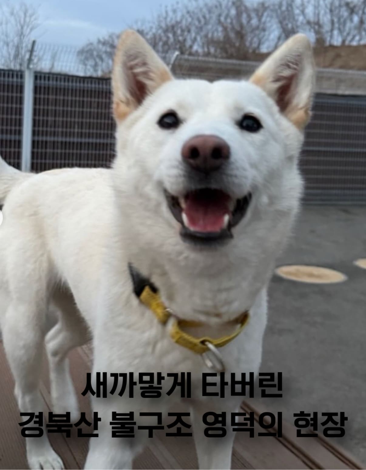 상세 사진 1