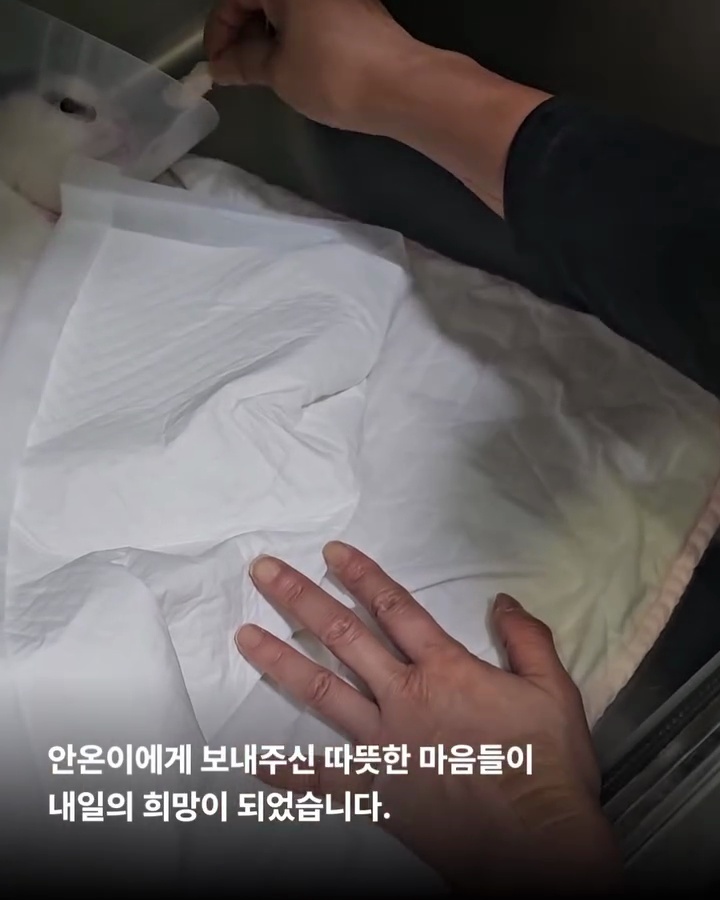 상세 사진 5