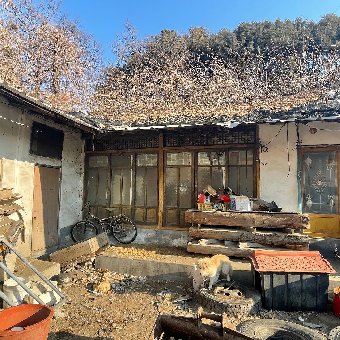 상세 사진 5
