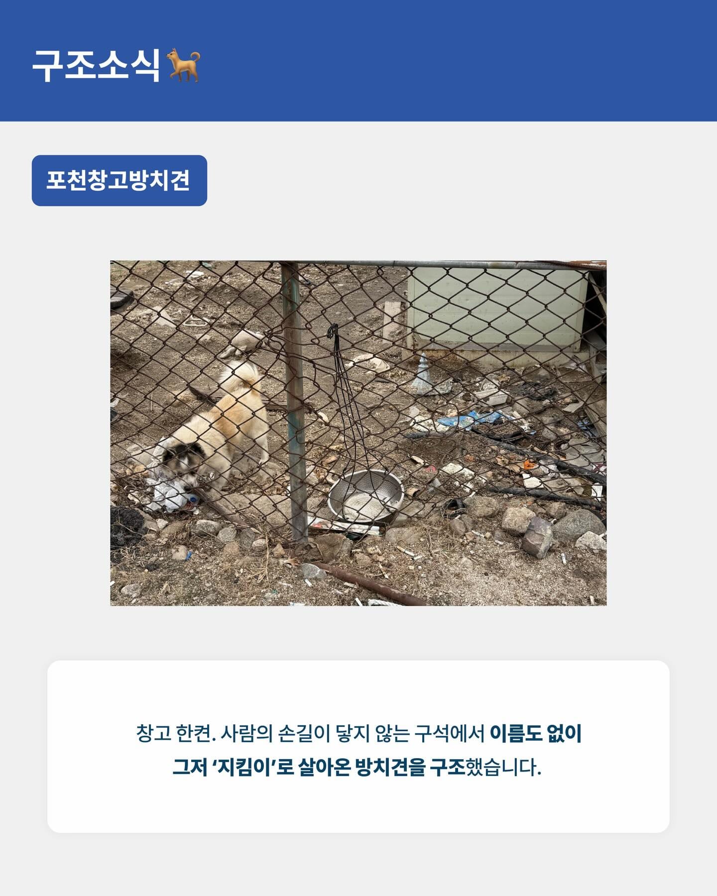 상세 사진 5