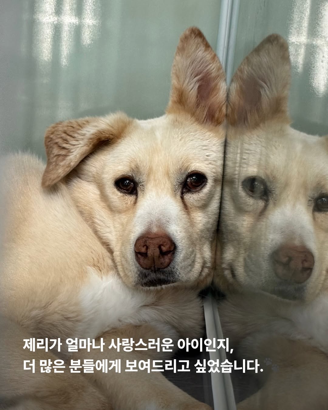 상세 사진 8