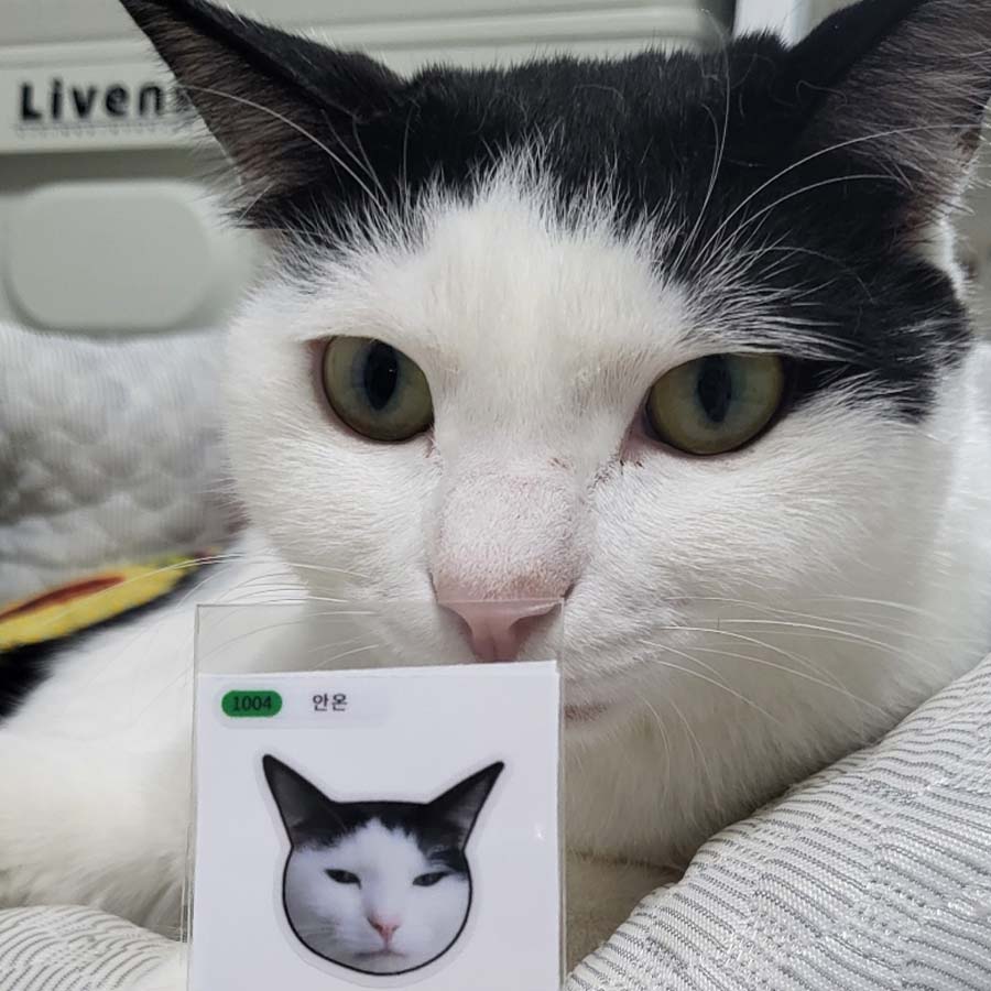 안온