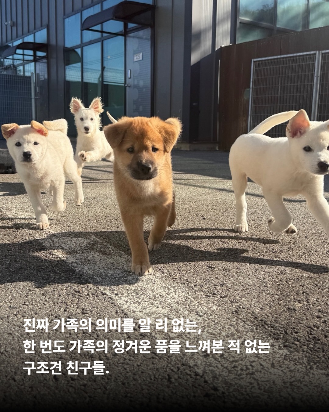 상세 사진 6