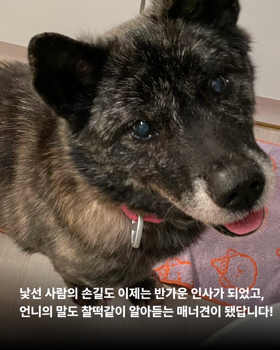 상세 사진 5