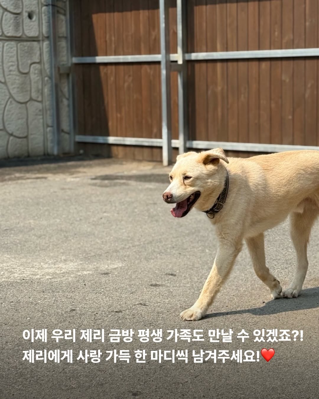 상세 사진 9