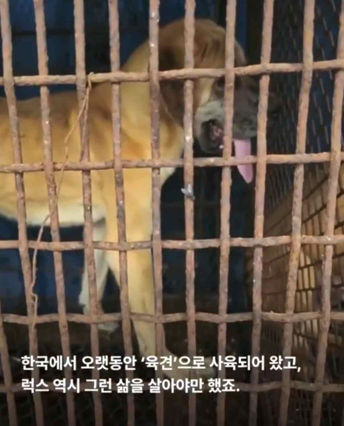 상세 사진 3