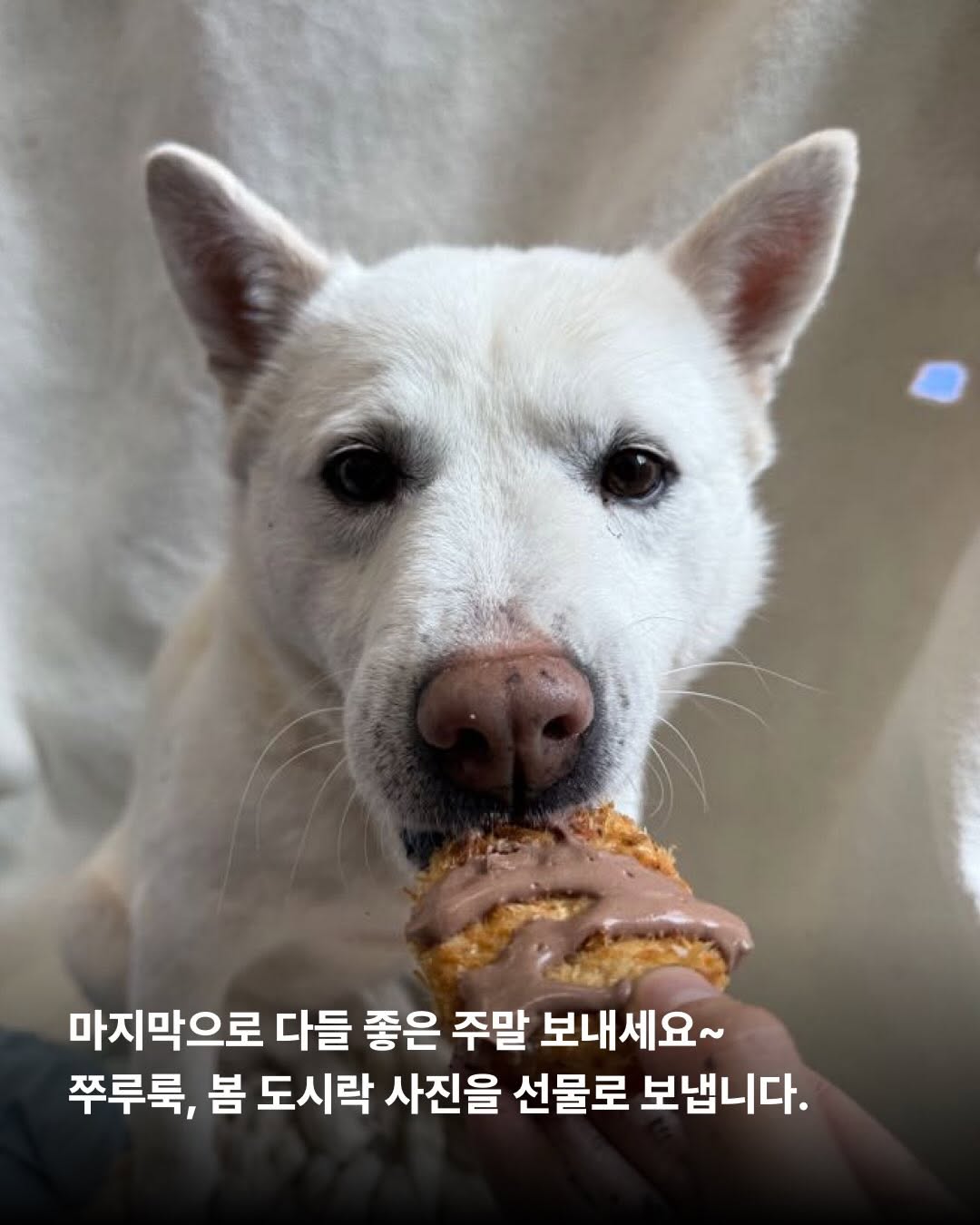 상세 사진 8