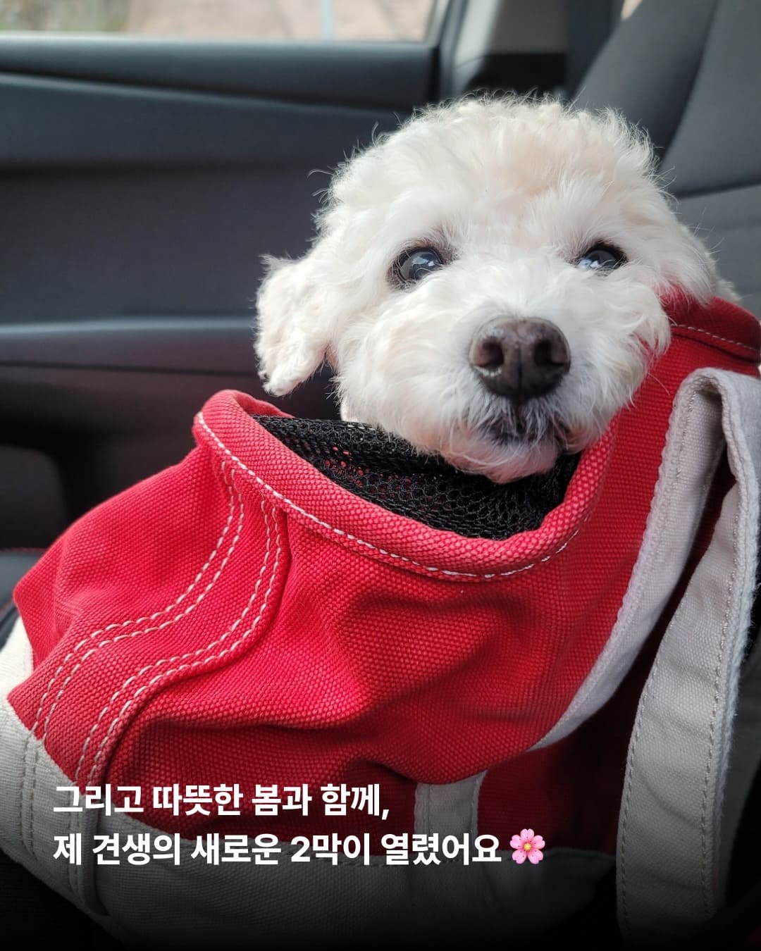 상세 사진 7