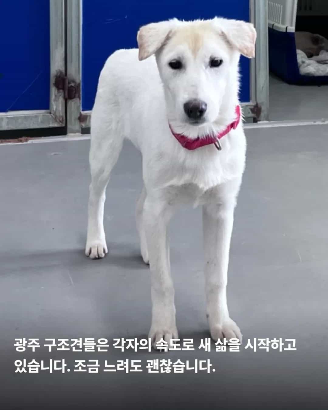 상세 사진 17